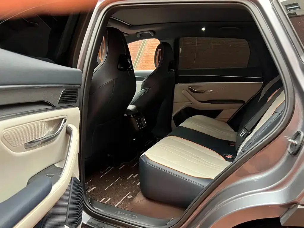 BYD PLUS New Energy 2024 из CN, фото 8