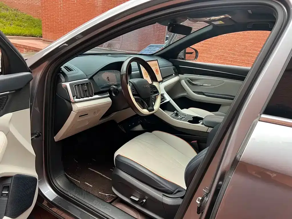 BYD PLUS New Energy 2024 из CN, фото 9
