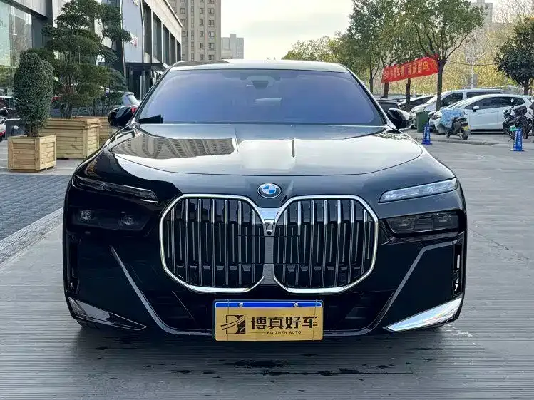 BMW 7 Series 2023 из CN, фото 9