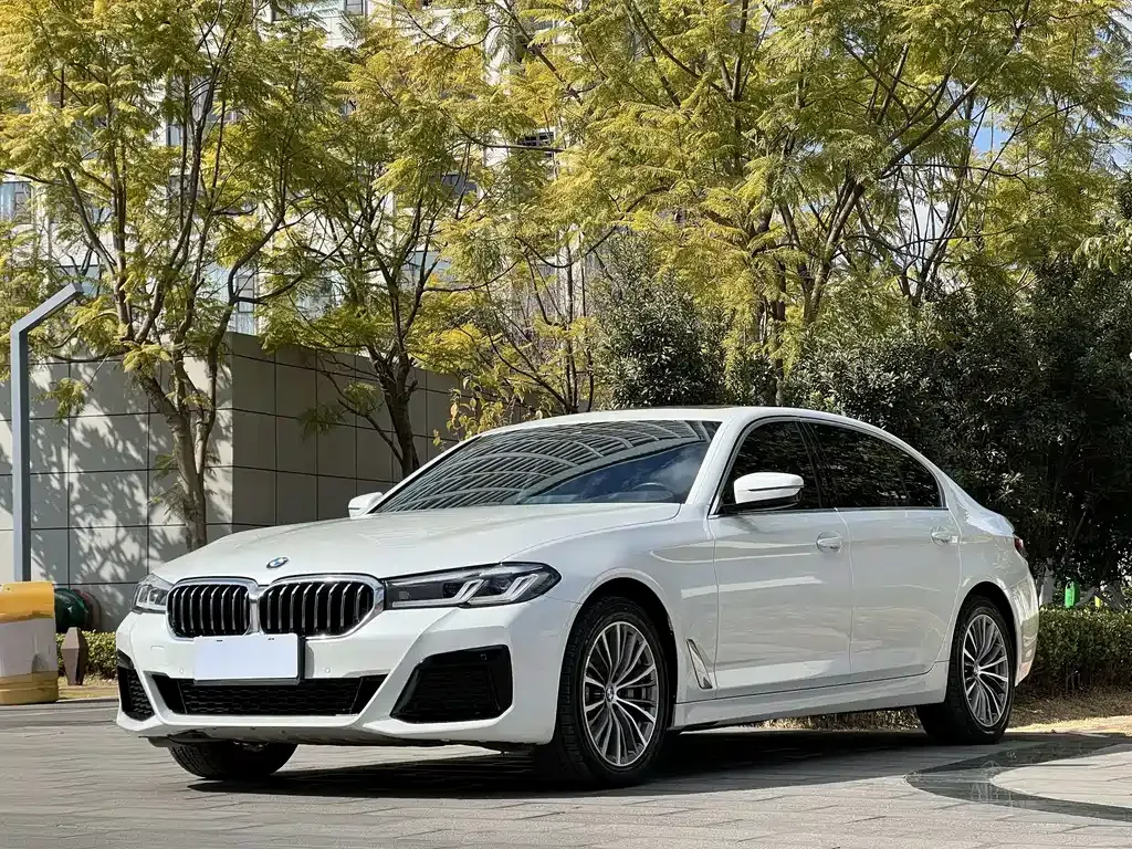 BMW 5 Series — фото 1