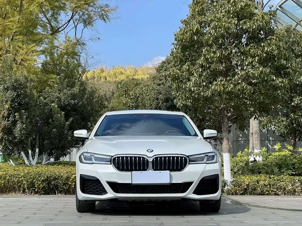 BMW 5 Series — фото 8