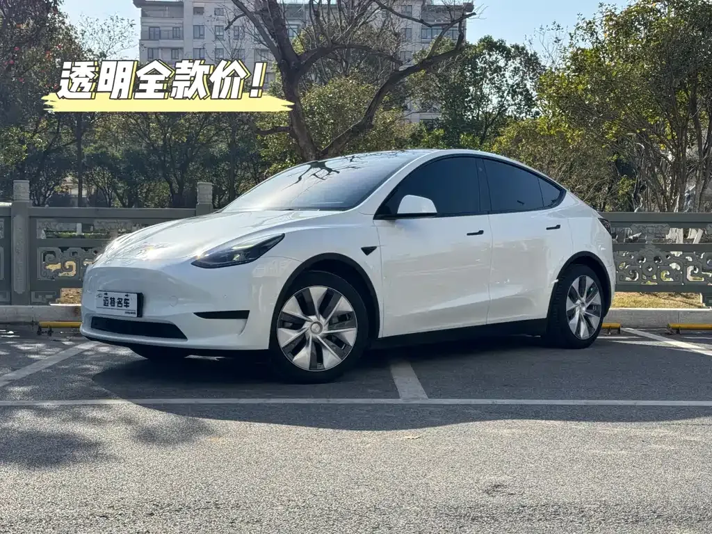 Tesla Model Y 2023 из CN, фото 1