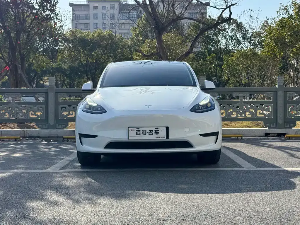 Tesla Model Y 2023 из CN, фото 2