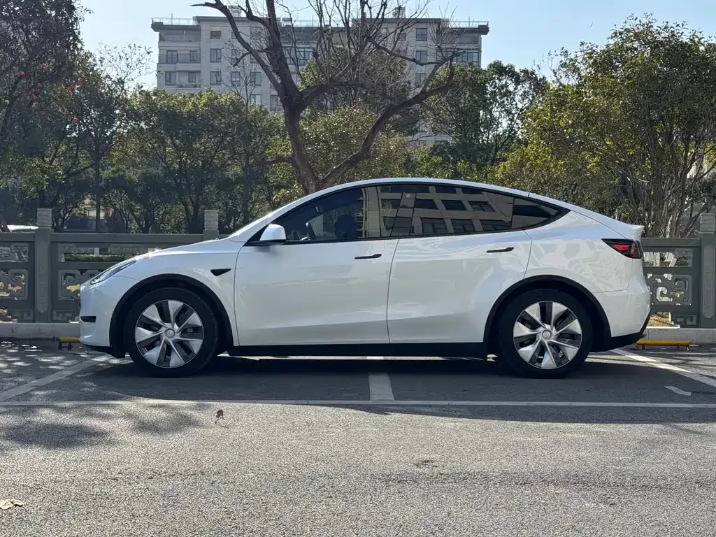 Tesla Model Y 2023 из CN, фото 3