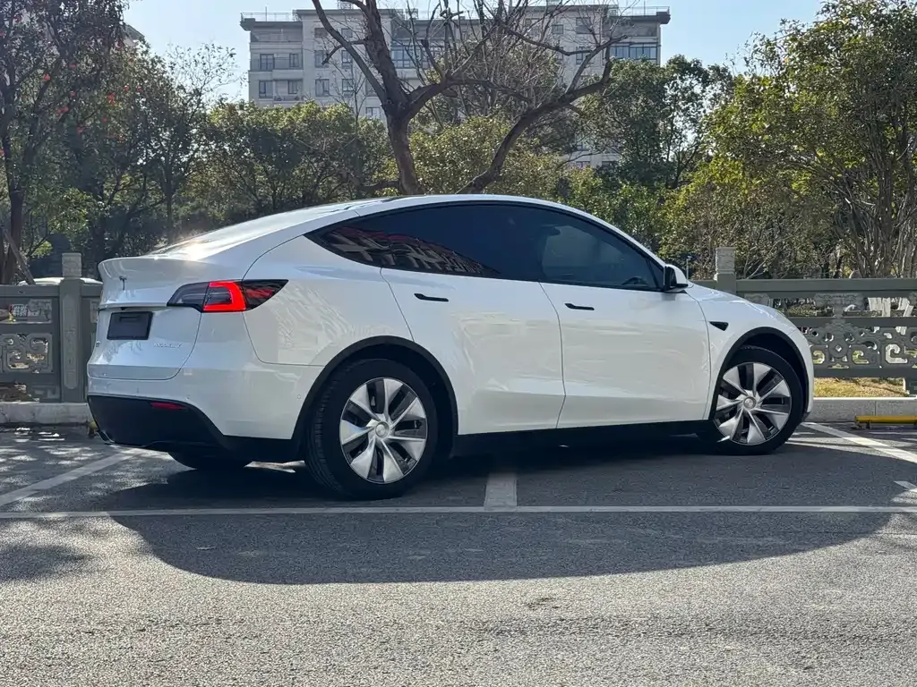 Tesla Model Y 2023 из CN, фото 4