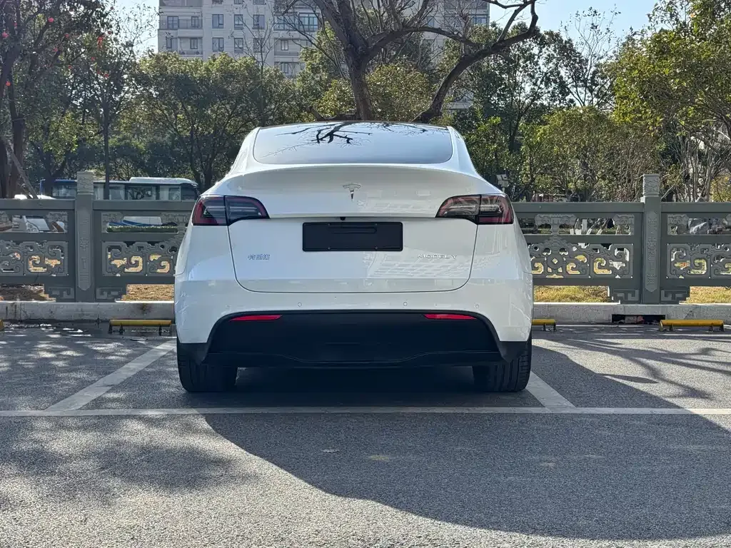 Tesla Model Y 2023 из CN, фото 5
