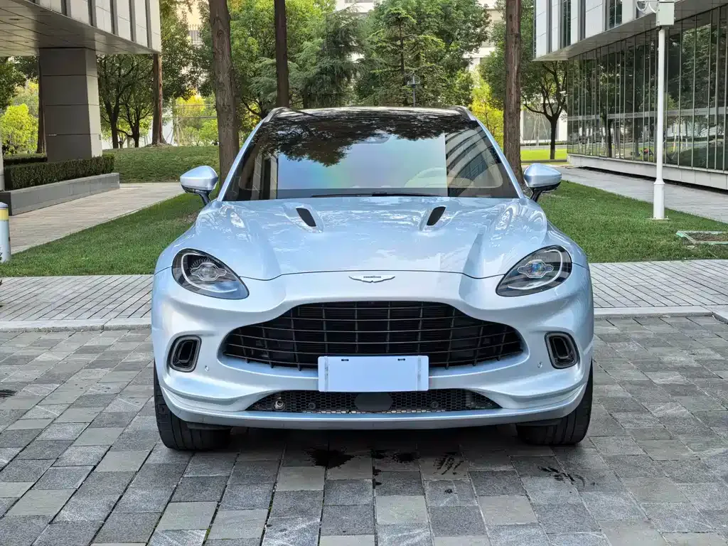 Aston Martin DBX 2022 из CN, фото 8
