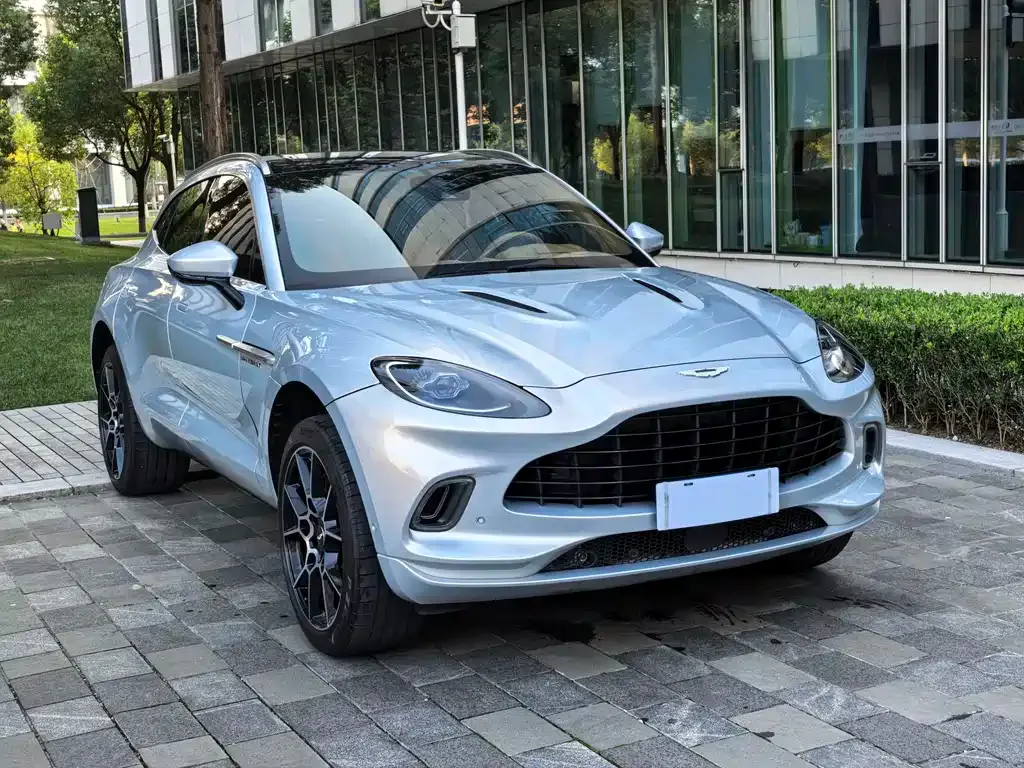 Aston Martin DBX 2022 из CN, фото 5