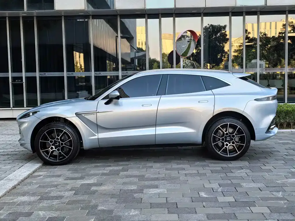 Aston Martin DBX 2022 из CN, фото 4