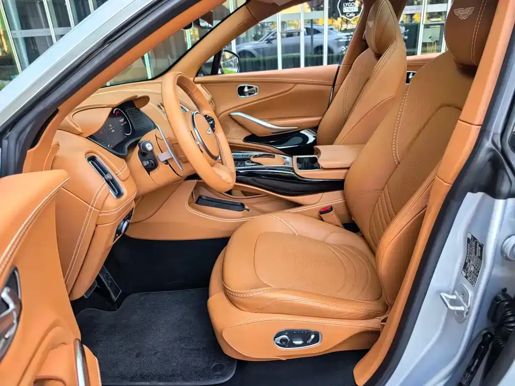 Aston Martin DBX 2022 из CN, фото 6