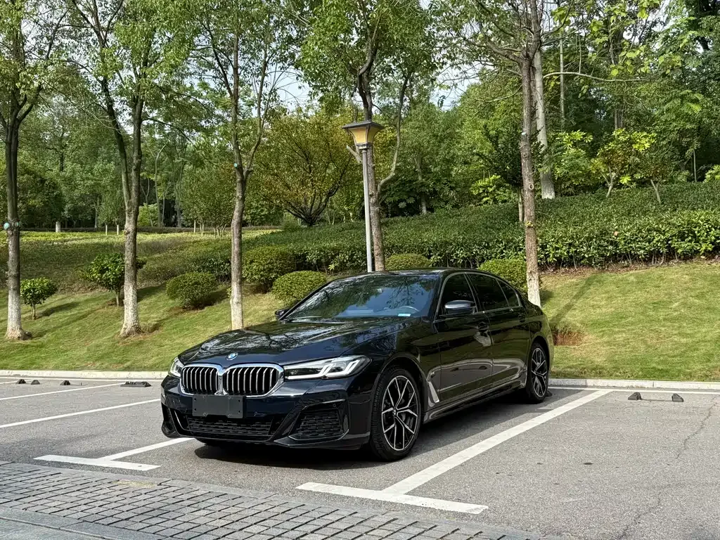 BMW 5 Series 2021 из CN, фото 1