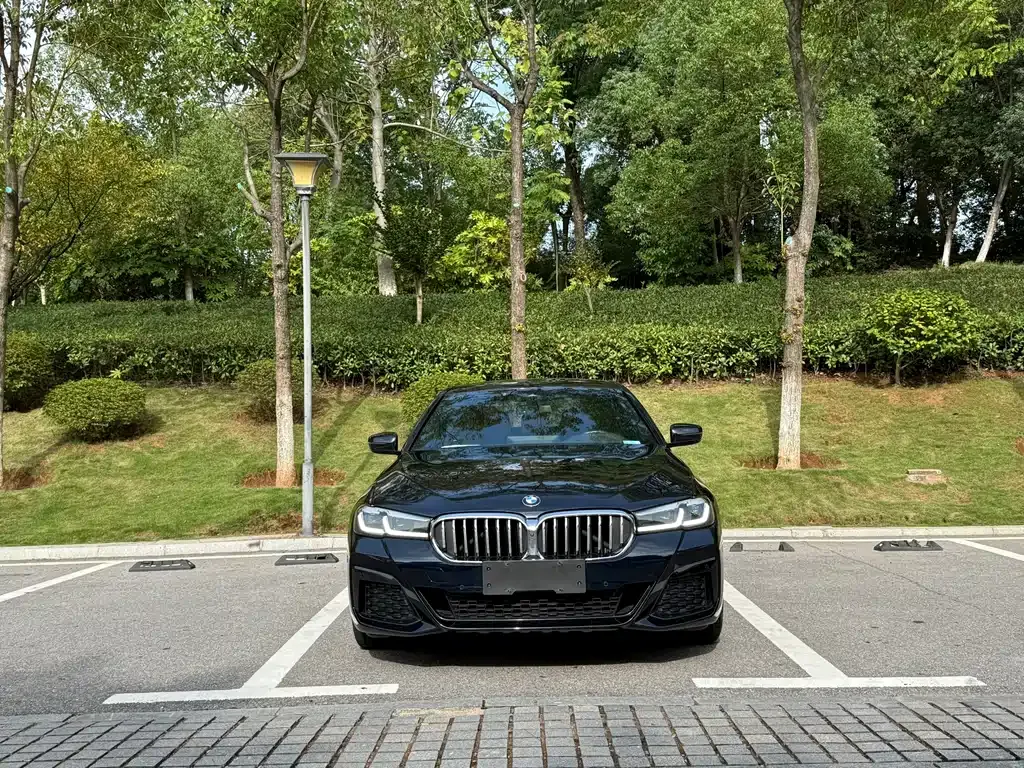 BMW 5 Series 2021 из CN, фото 10