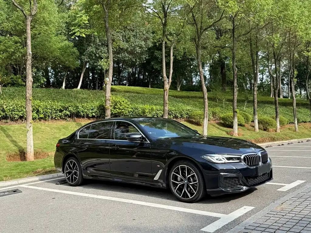 BMW 5 Series 2021 из CN, фото 9