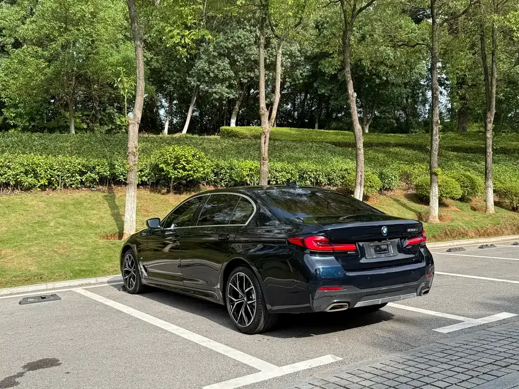 BMW 5 Series 2021 из CN, фото 8