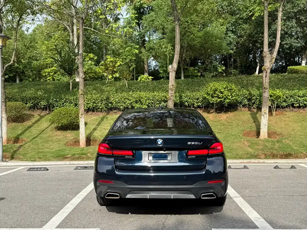 BMW 5 Series 2021 из CN, фото 6