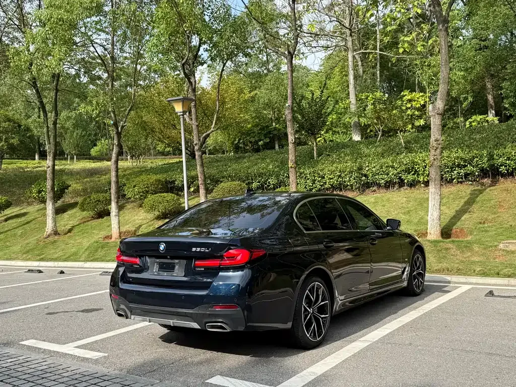 BMW 5 Series 2021 из CN, фото 7