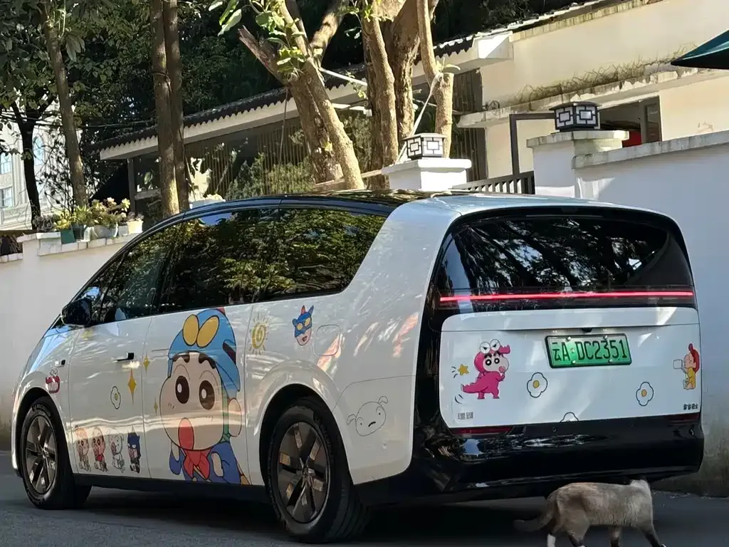 Li Auto MEGA 2024 из CN, фото 6