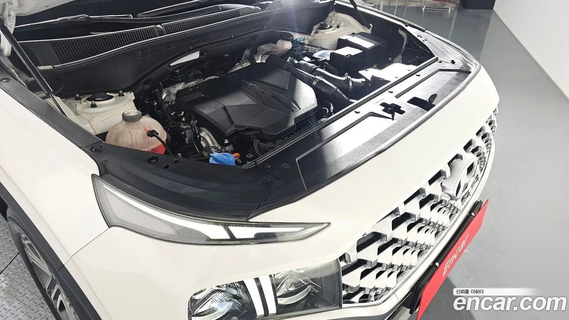 Hyundai Santafe 2021 из KR, фото 7