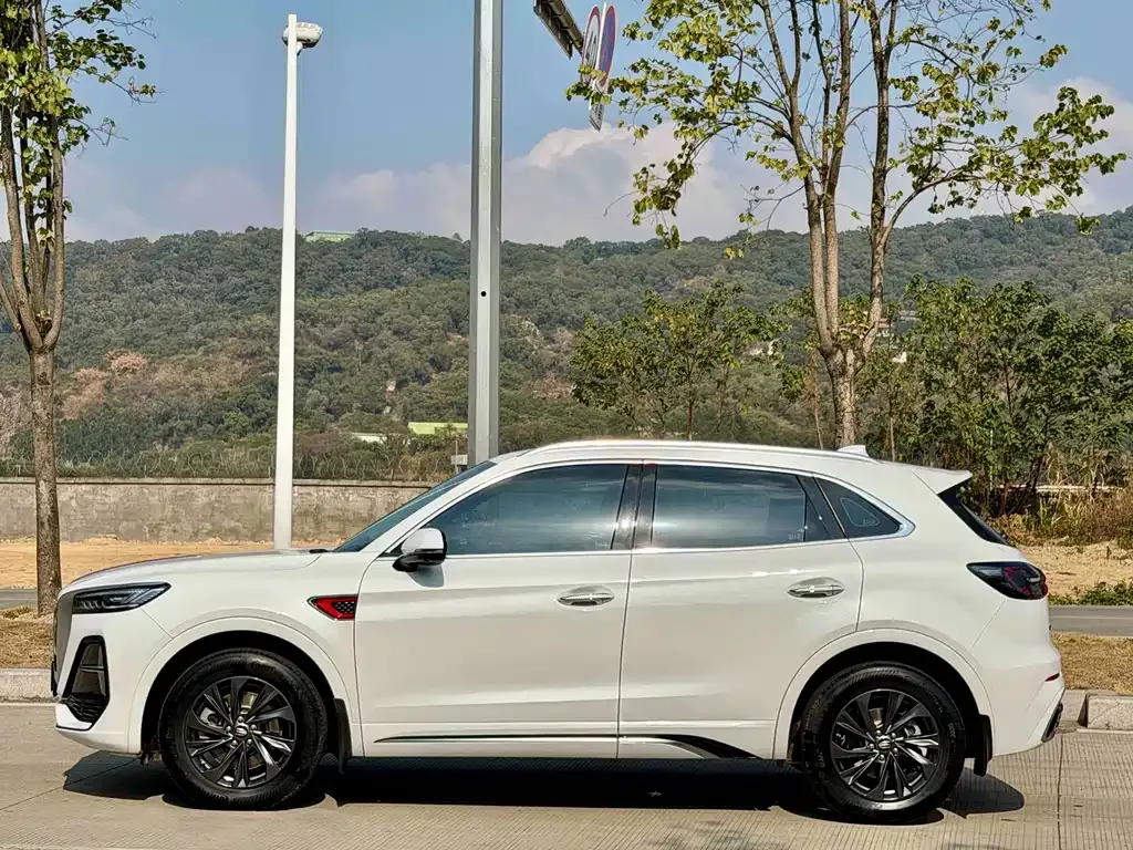 Hongqi HS5 2024 из CN, фото 4