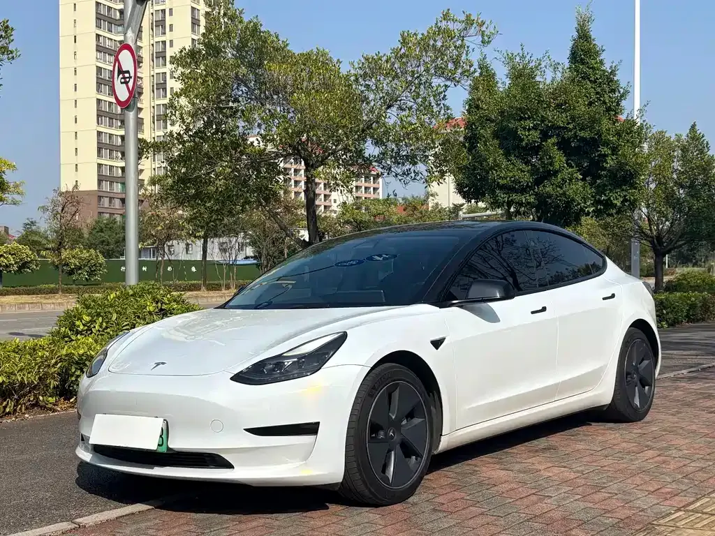 Tesla Model 3 2022 из CN, фото 1