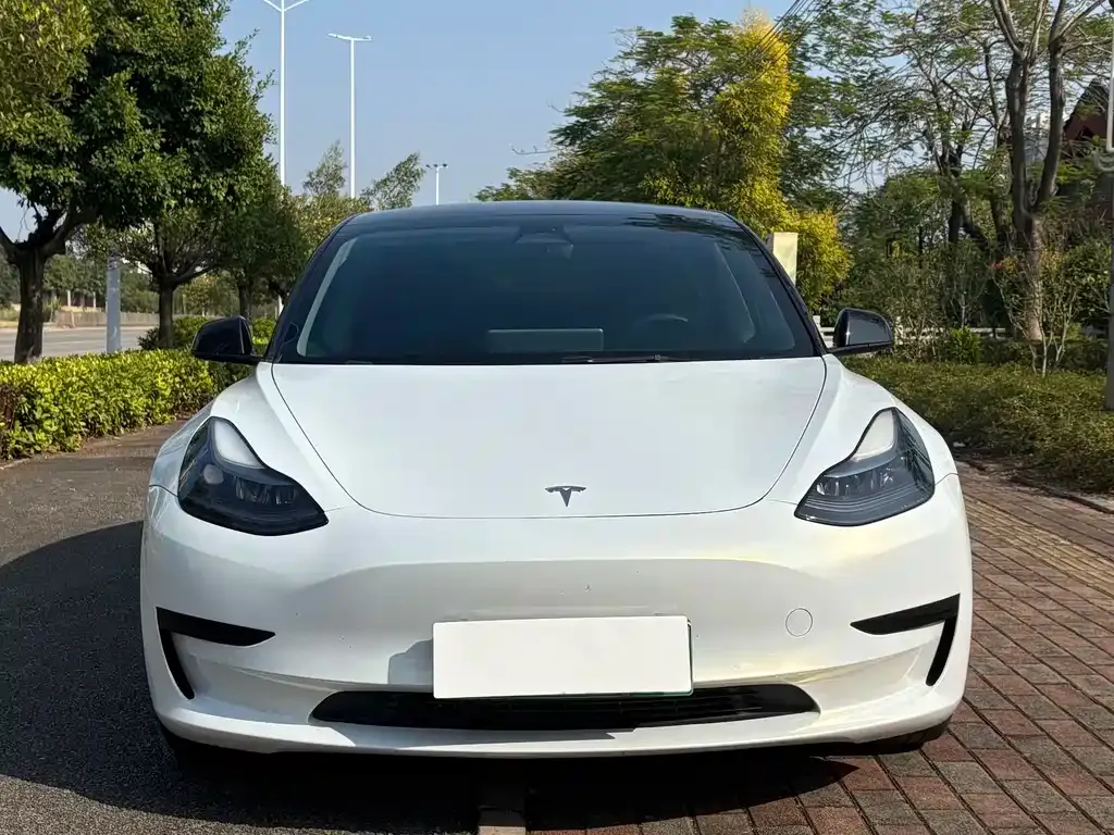 Tesla Model 3 2022 из CN, фото 2