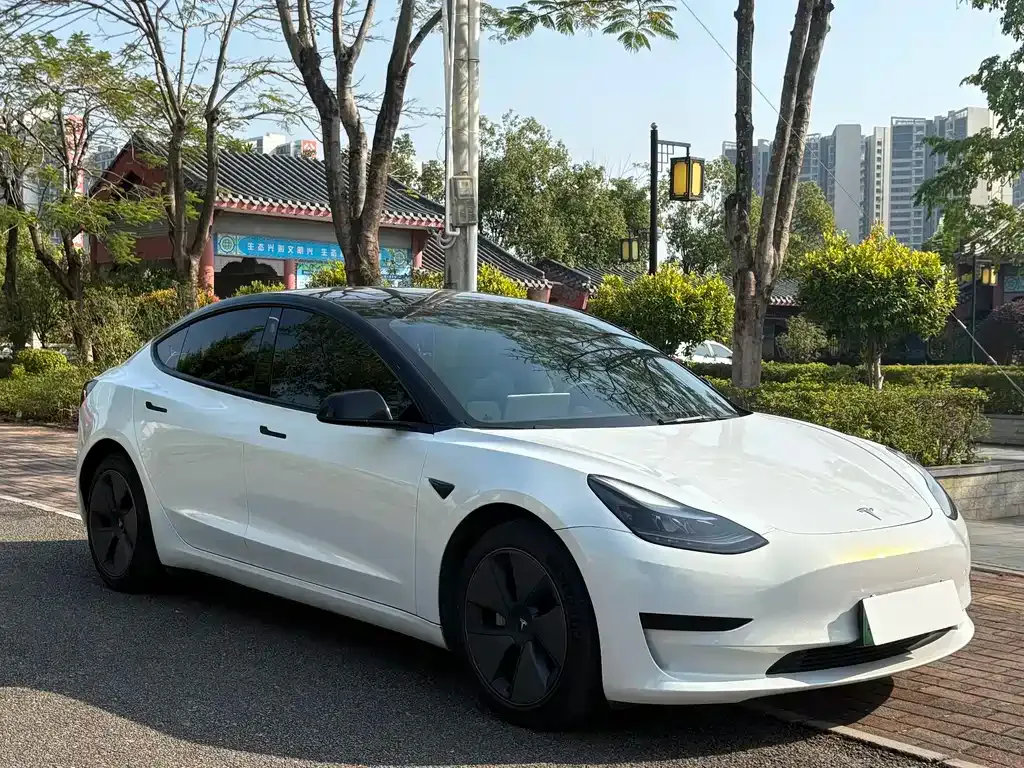 Tesla Model 3 2022 из CN, фото 3