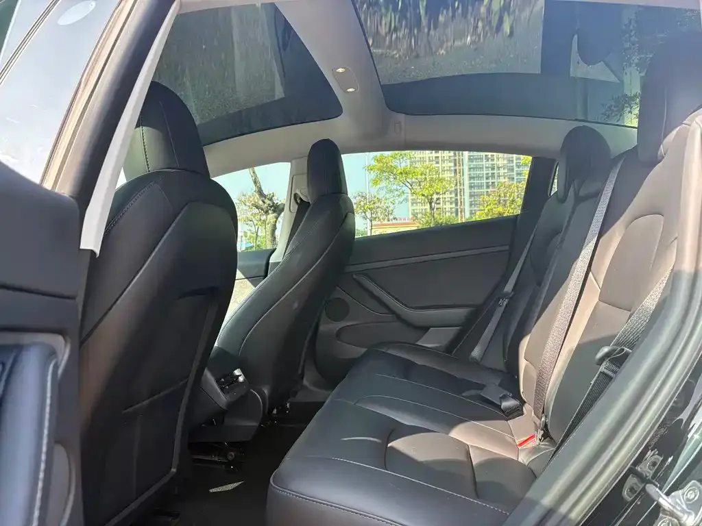 Tesla Model 3 2022 из CN, фото 5