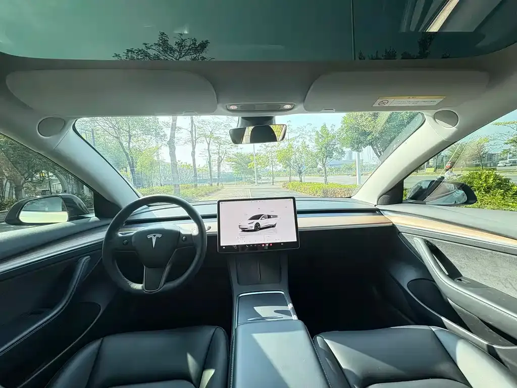 Tesla Model 3 2022 из CN, фото 6