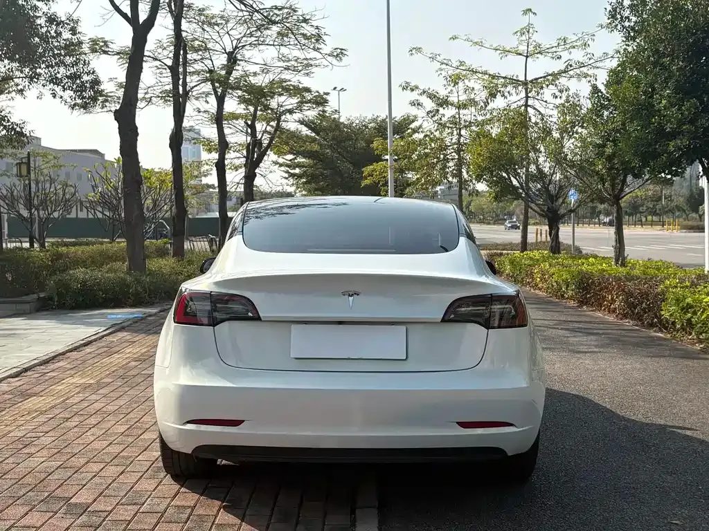 Tesla Model 3 2022 из CN, фото 8