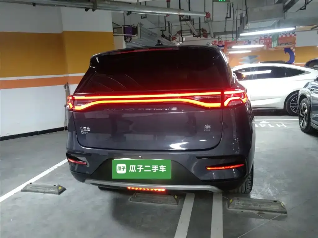 BYD Tang New Energy 2023 из CN, фото 2