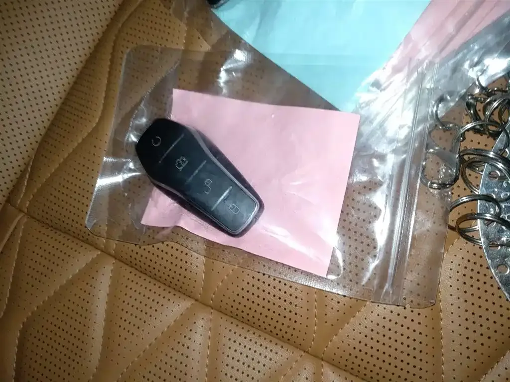 BYD Tang New Energy 2023 из CN, фото 10