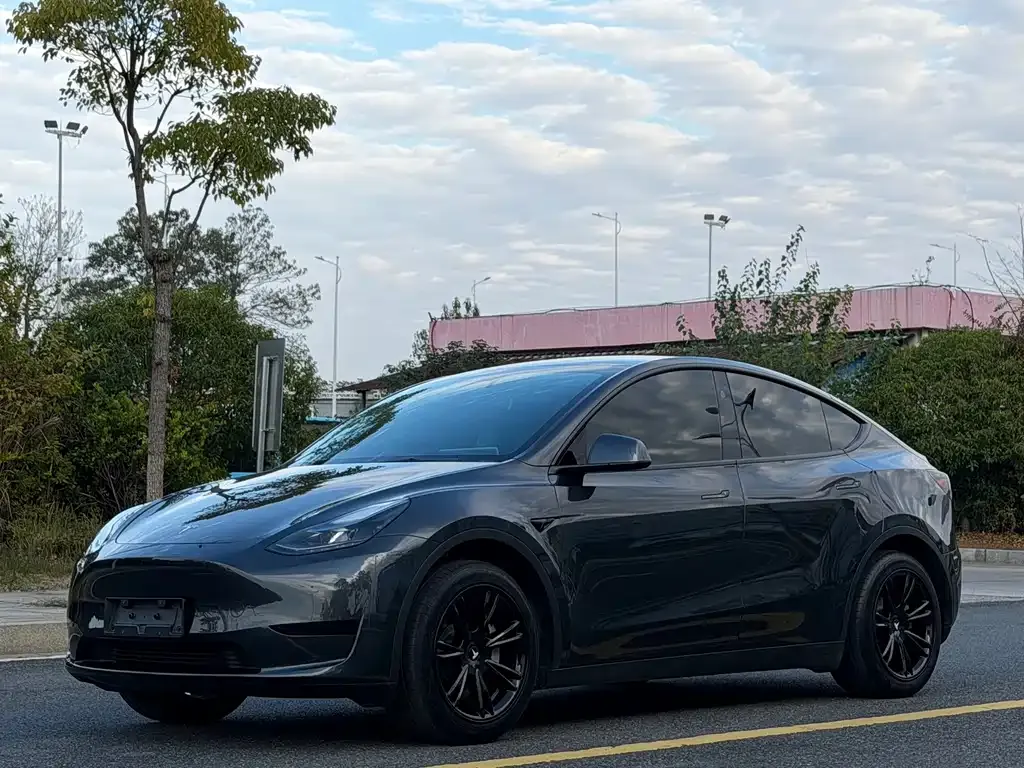 Tesla Model Y 2025 из CN, фото 1