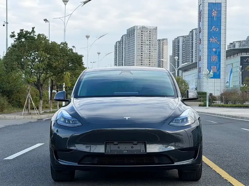 Tesla Model Y 2025 из CN, фото 5