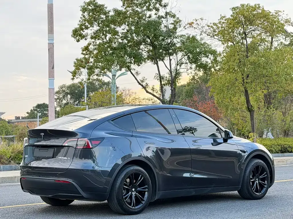 Tesla Model Y 2025 из CN, фото 9