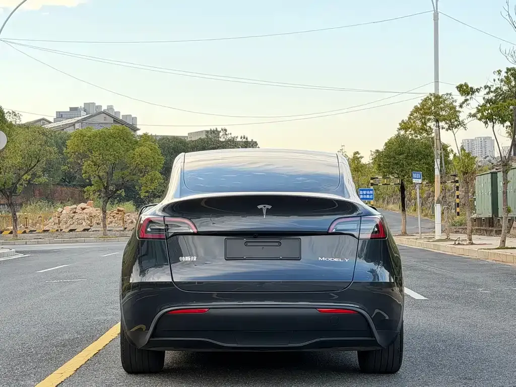 Tesla Model Y 2025 из CN, фото 2