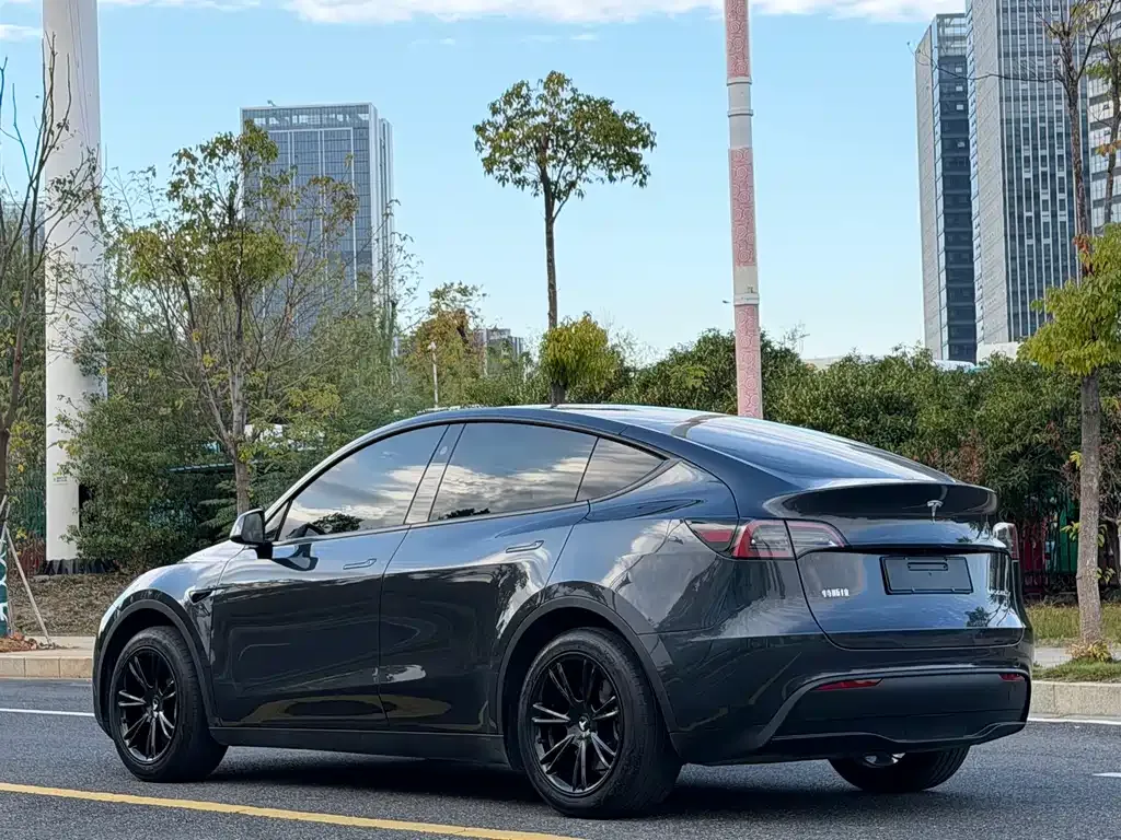 Tesla Model Y 2025 из CN, фото 7