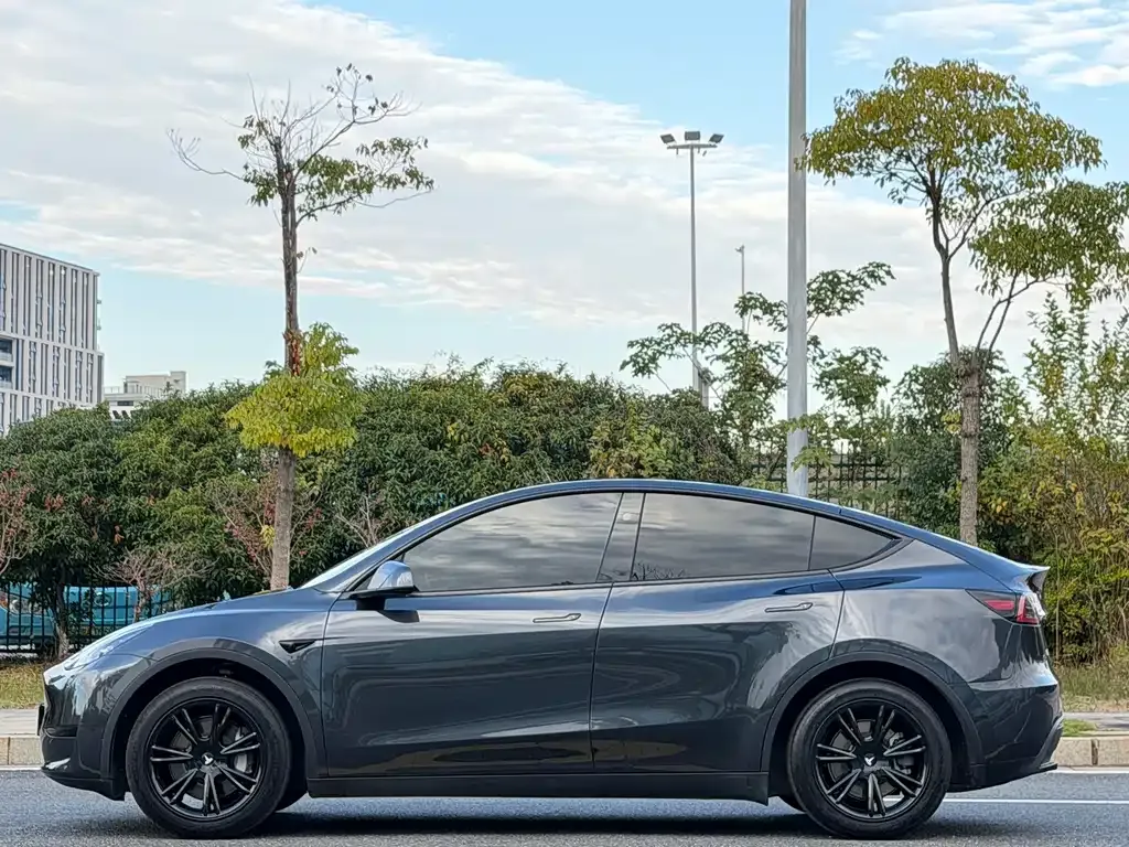 Tesla Model Y 2025 из CN, фото 10