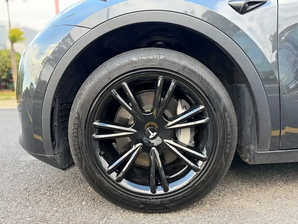 Tesla Model Y 2025 из CN, фото 6