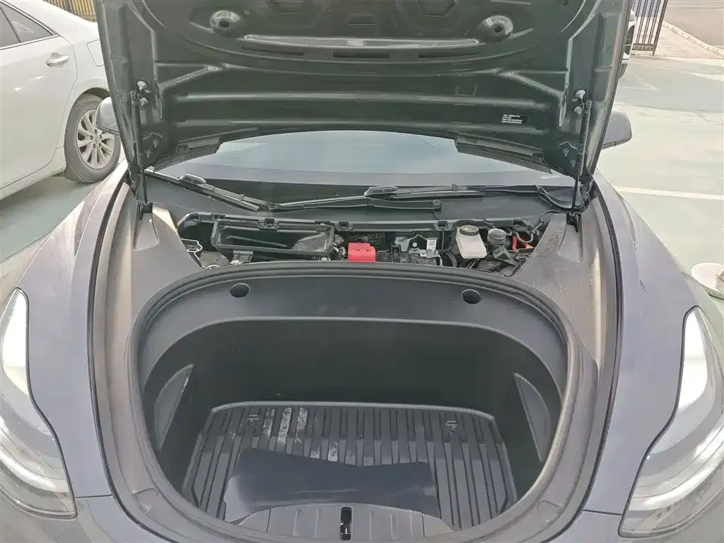 Tesla Model 3 2021 из CN, фото 6