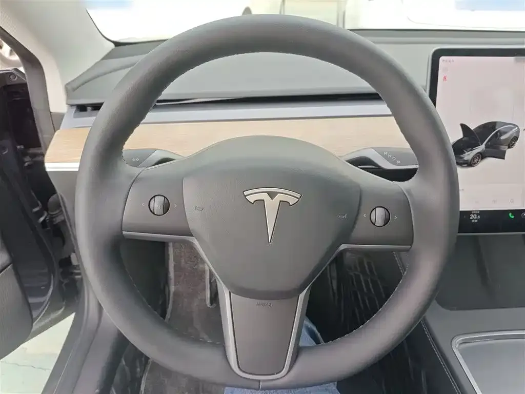 Tesla Model 3 2021 из CN, фото 4