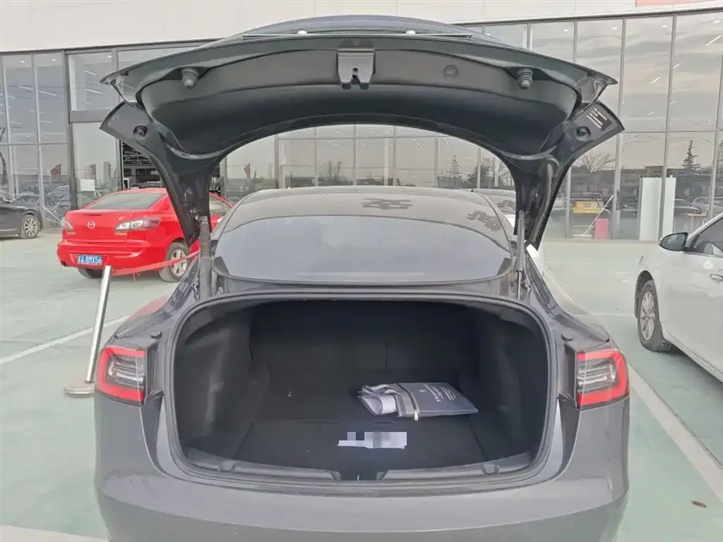 Tesla Model 3 2021 из CN, фото 2