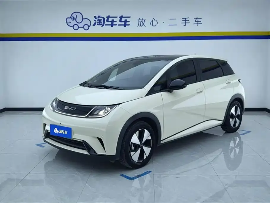 BYD Dolphin 2023 из CN, фото 1