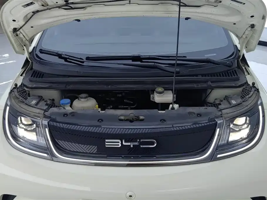 BYD Dolphin 2023 из CN, фото 7