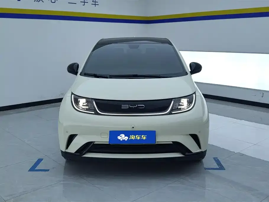 BYD Dolphin 2023 из CN, фото 3
