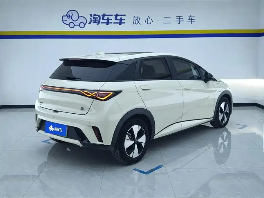 BYD Dolphin 2023 из CN, фото 5