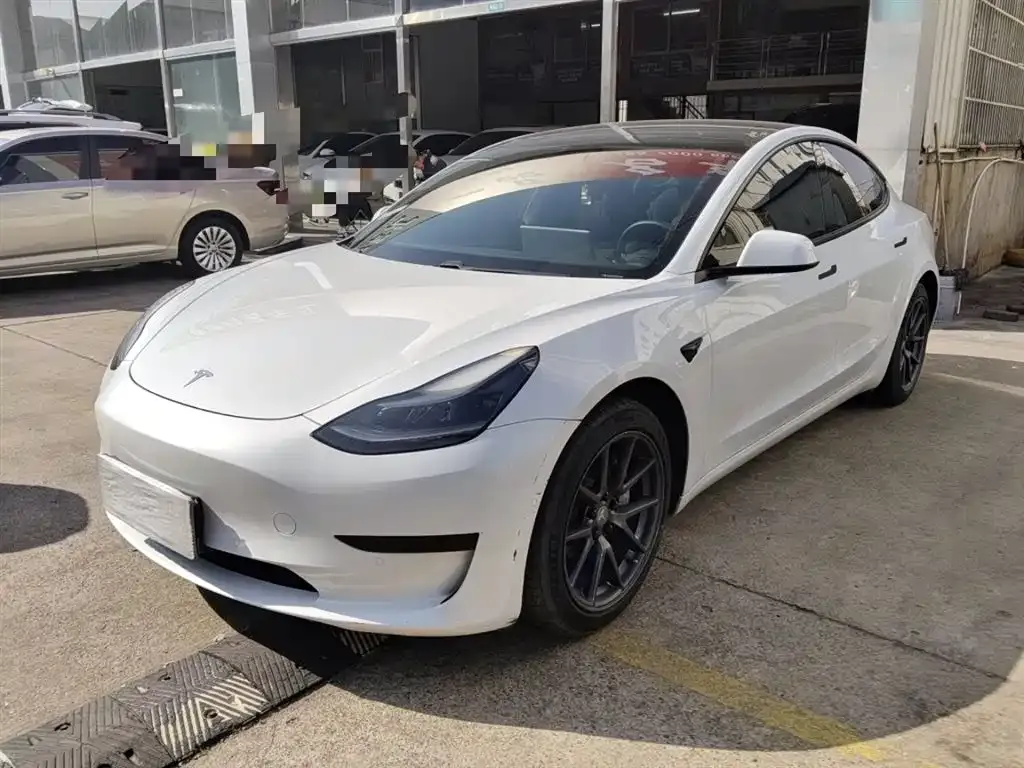 Tesla Model 3 2021 из CN, фото 1