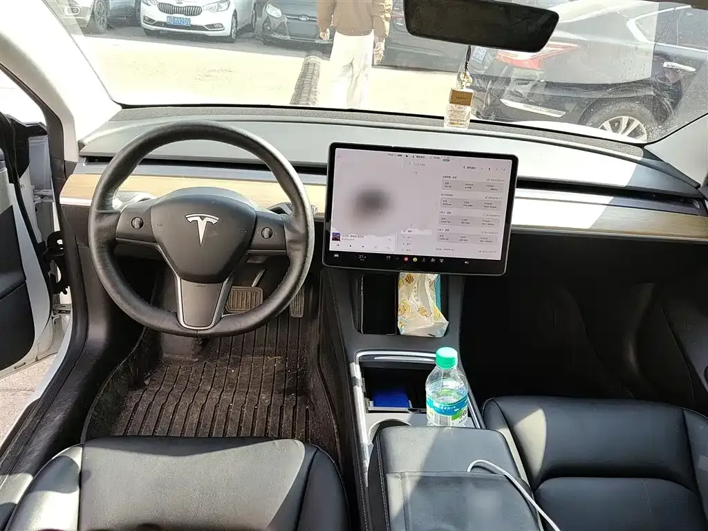 Tesla Model 3 2021 из CN, фото 5