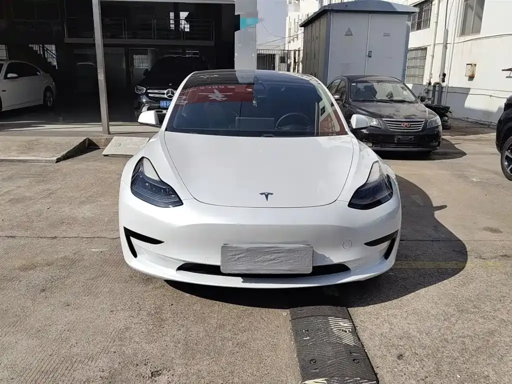 Tesla Model 3 2021 из CN, фото 3
