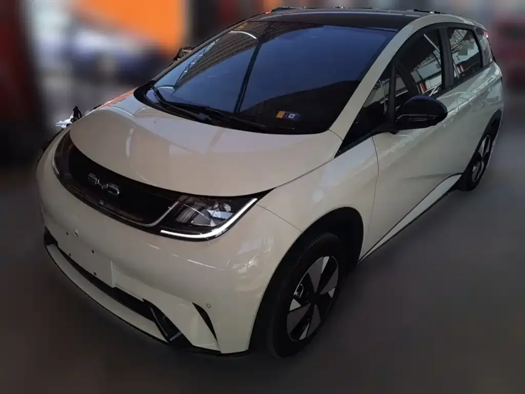 BYD Dolphin 2024 из CN, фото 2