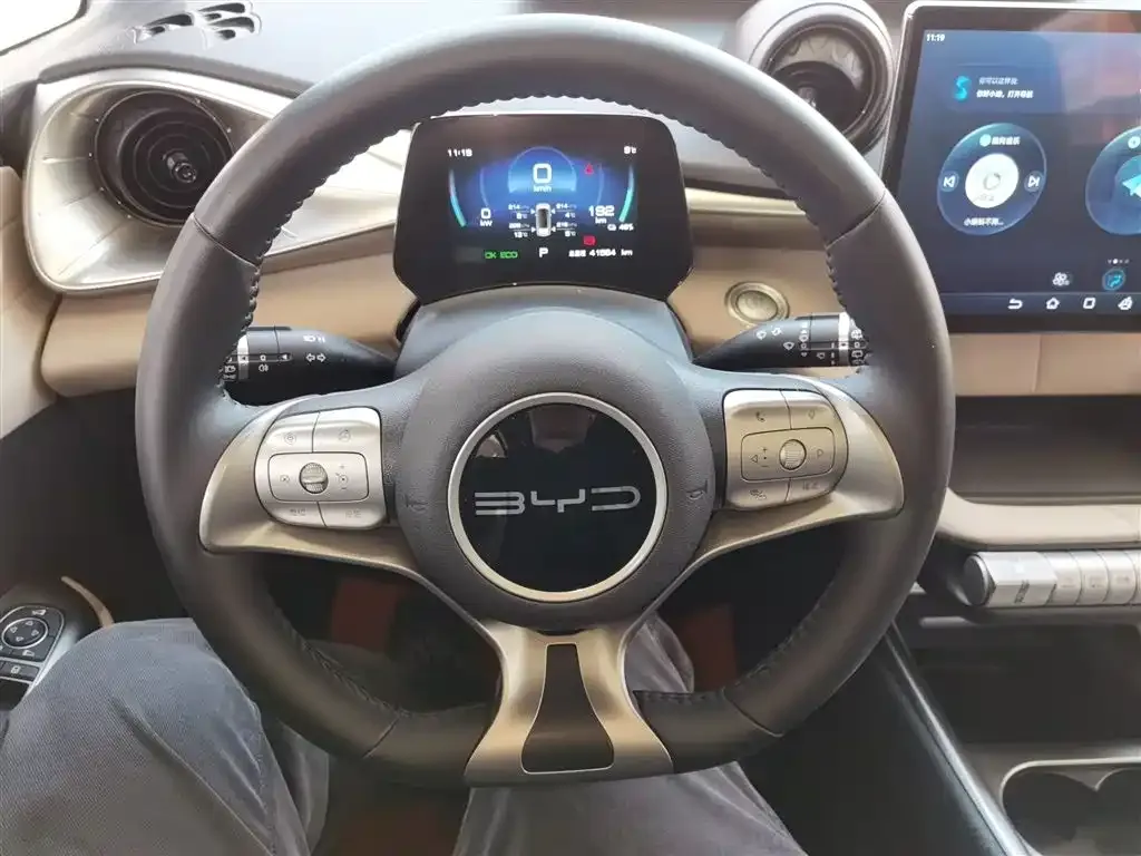 BYD Dolphin 2024 из CN, фото 3